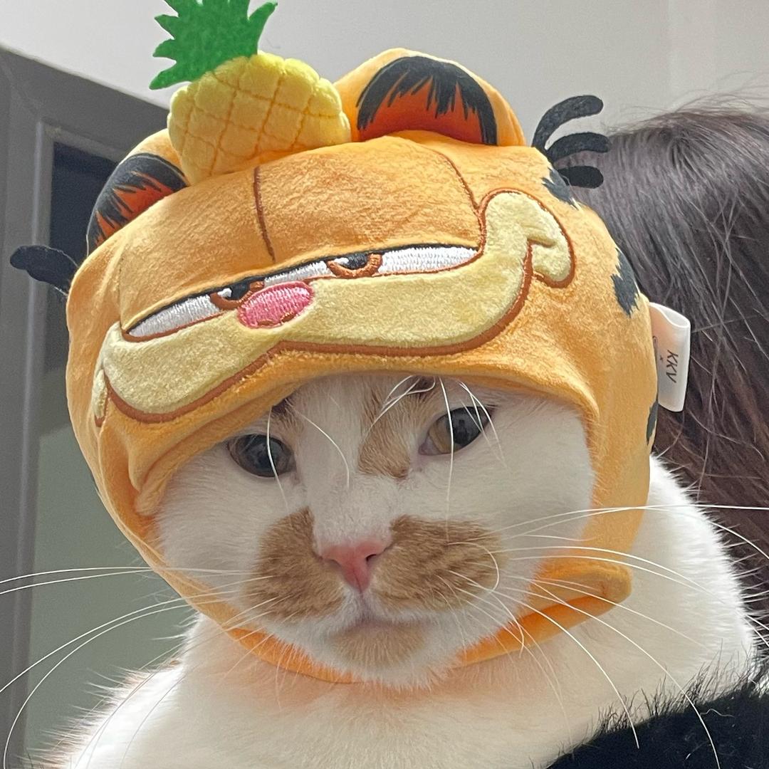 奶黄包