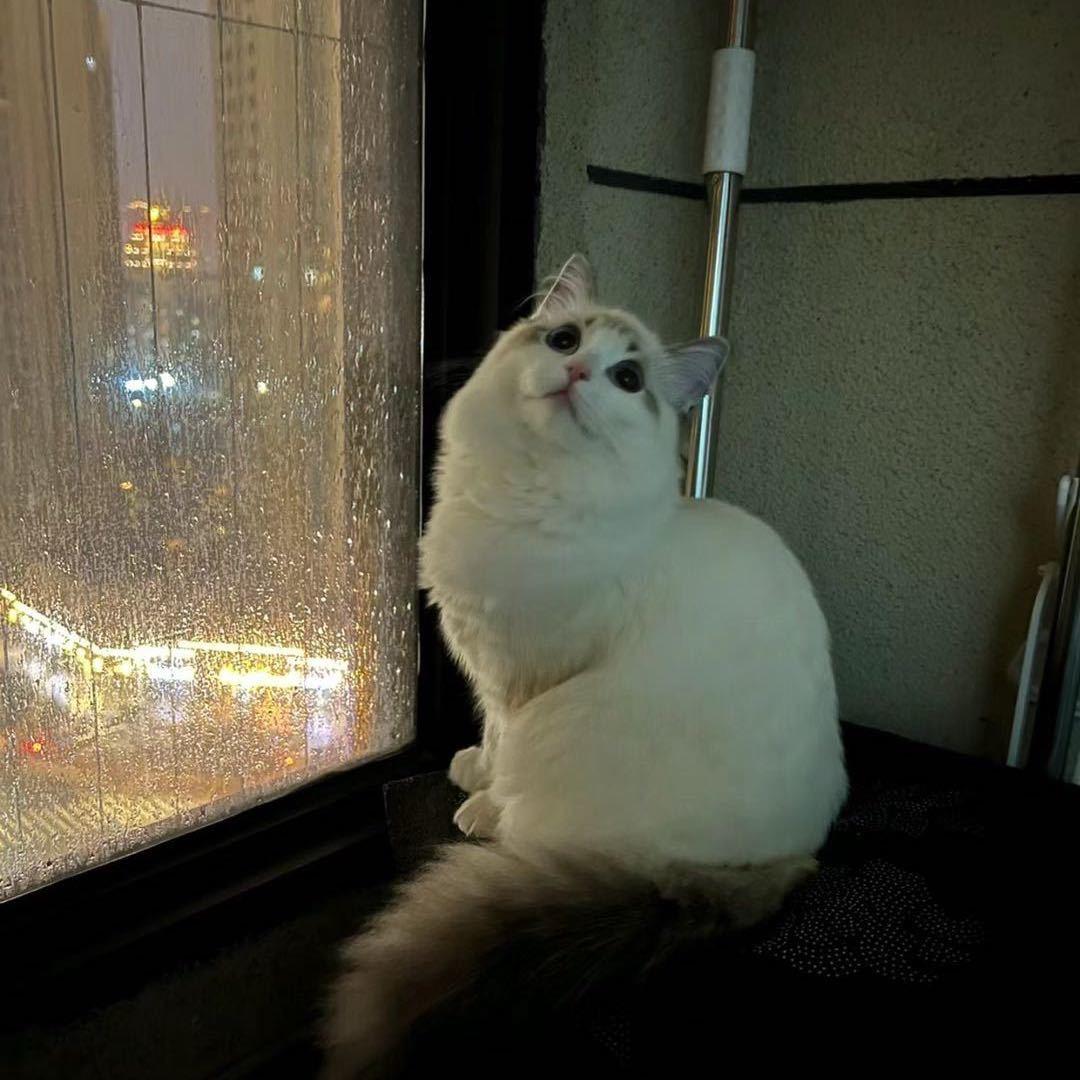 睡不醒