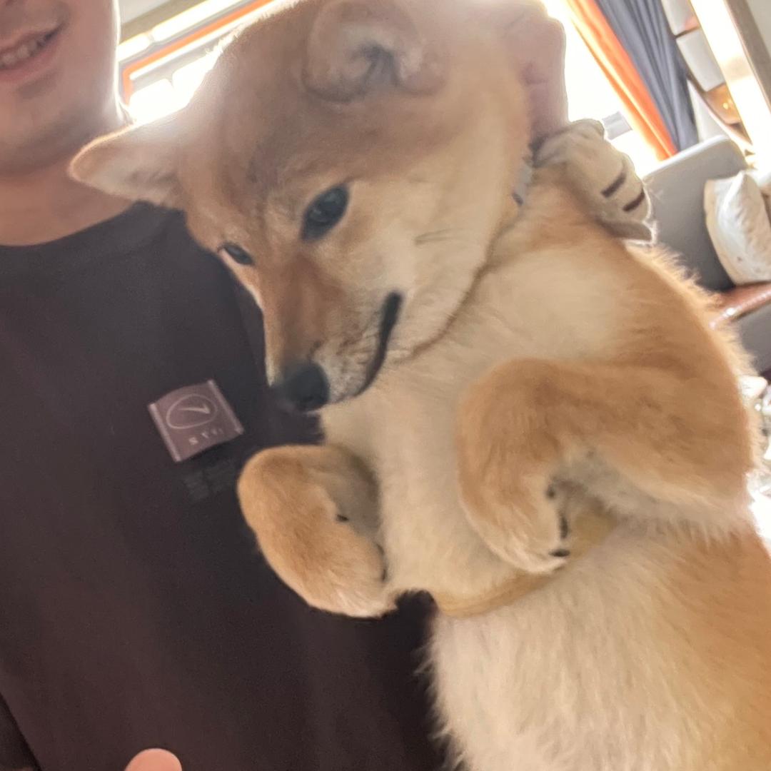 豆子日记