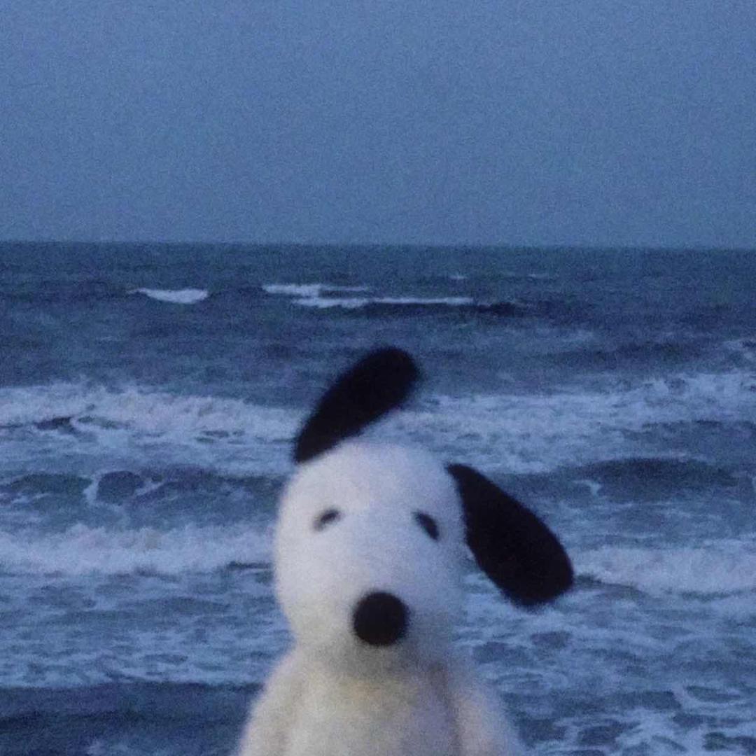 博.