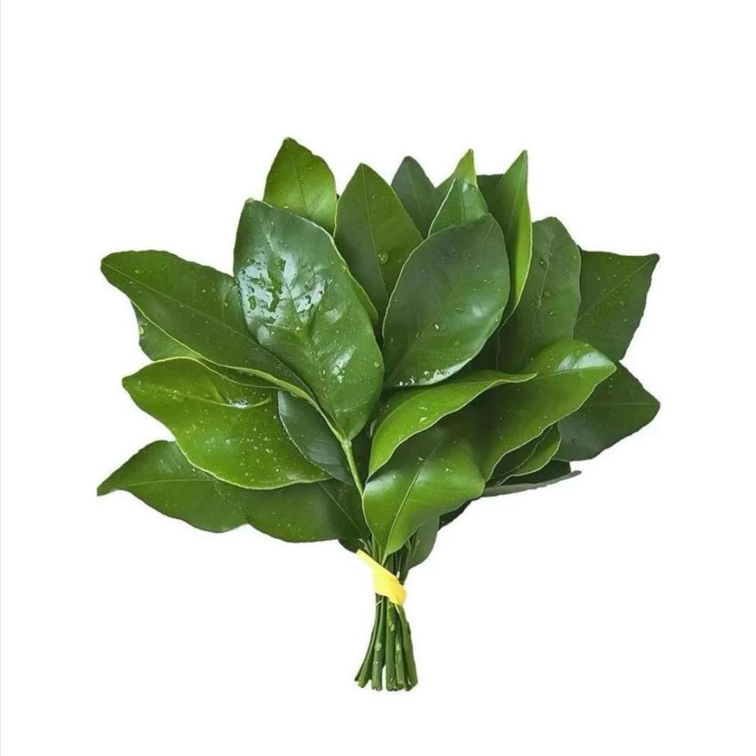 纯梨