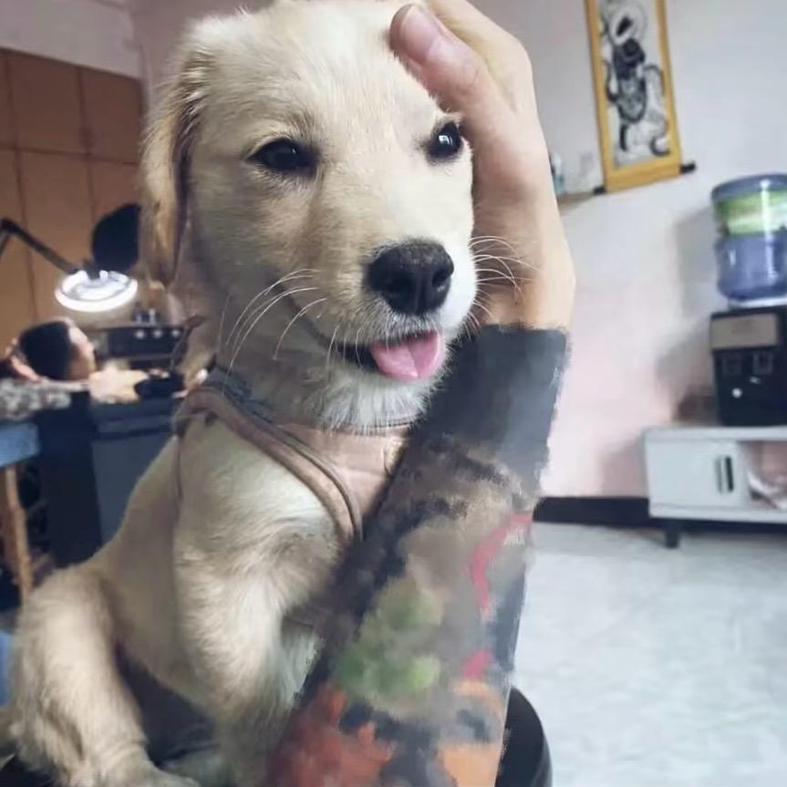 🤙🏻
