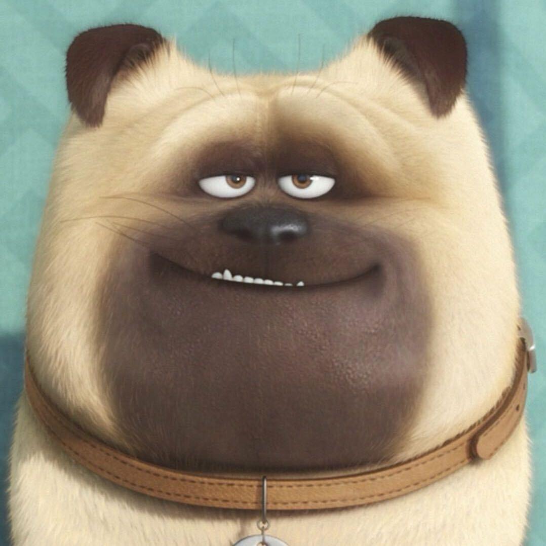 罗非鱼