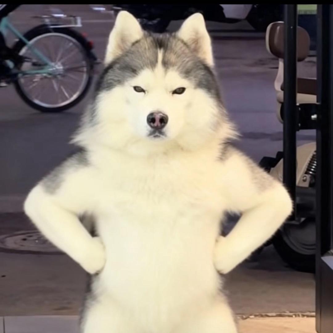 爆珠萝莉