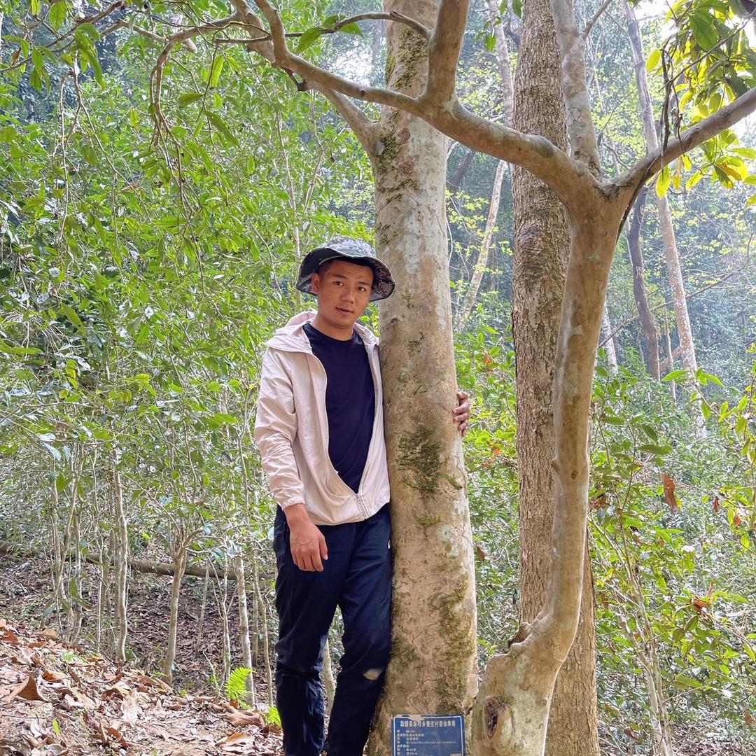 小纪爱喝茶