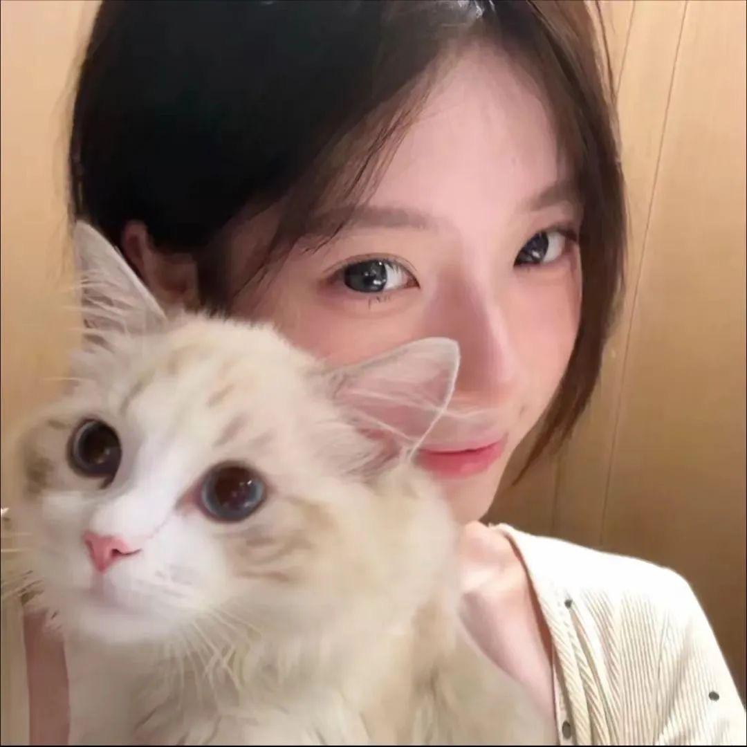 菡宝儿