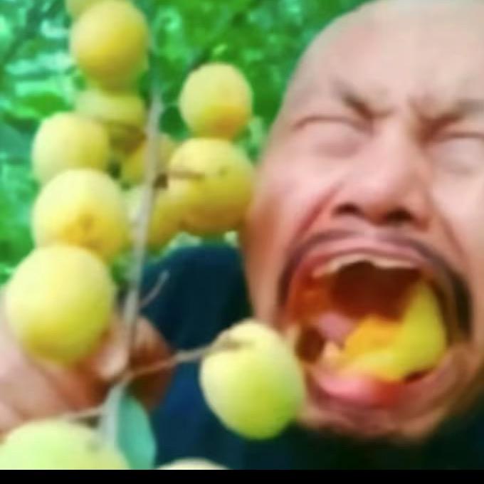 依依