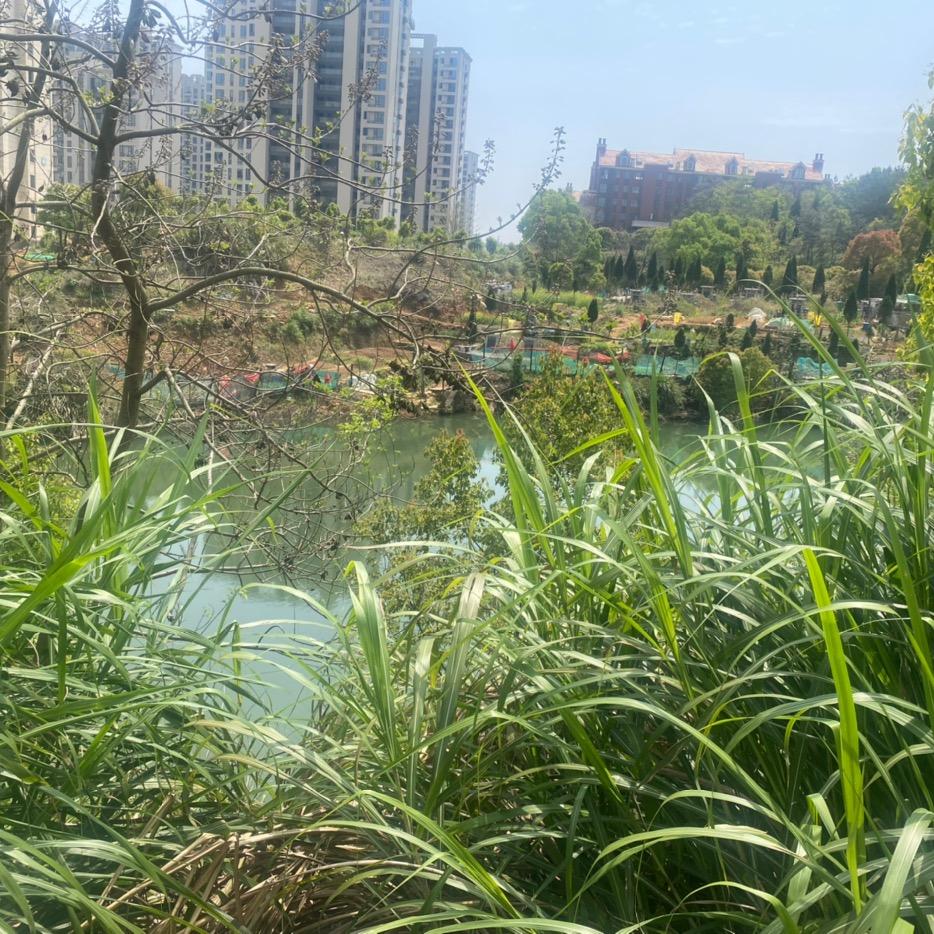 路过人间