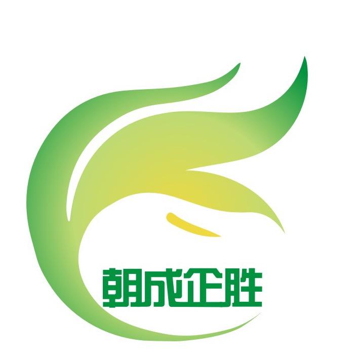 朝成企胜
