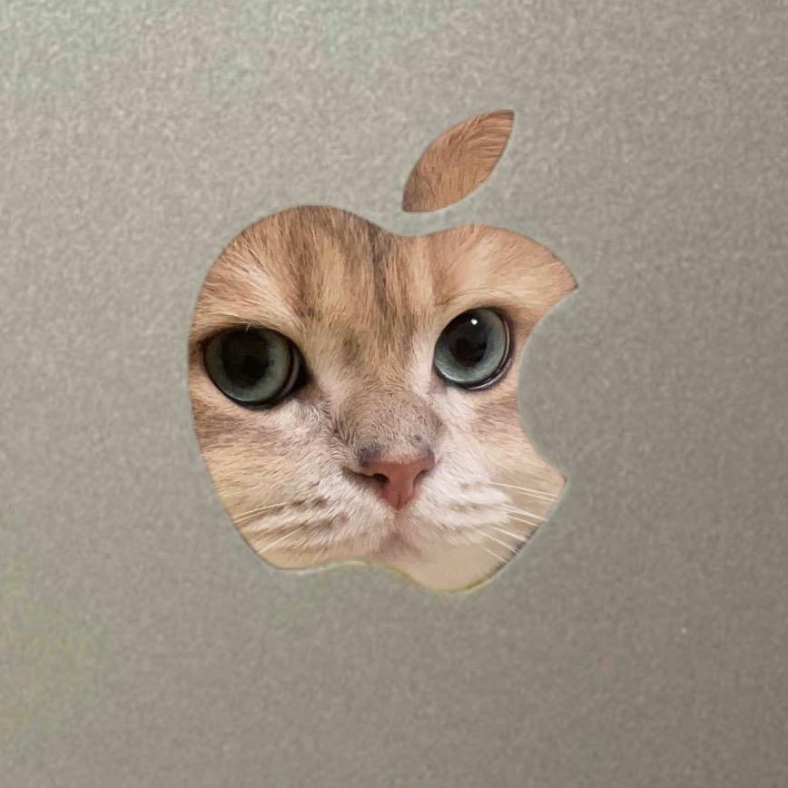 同德曼大王传了简讯