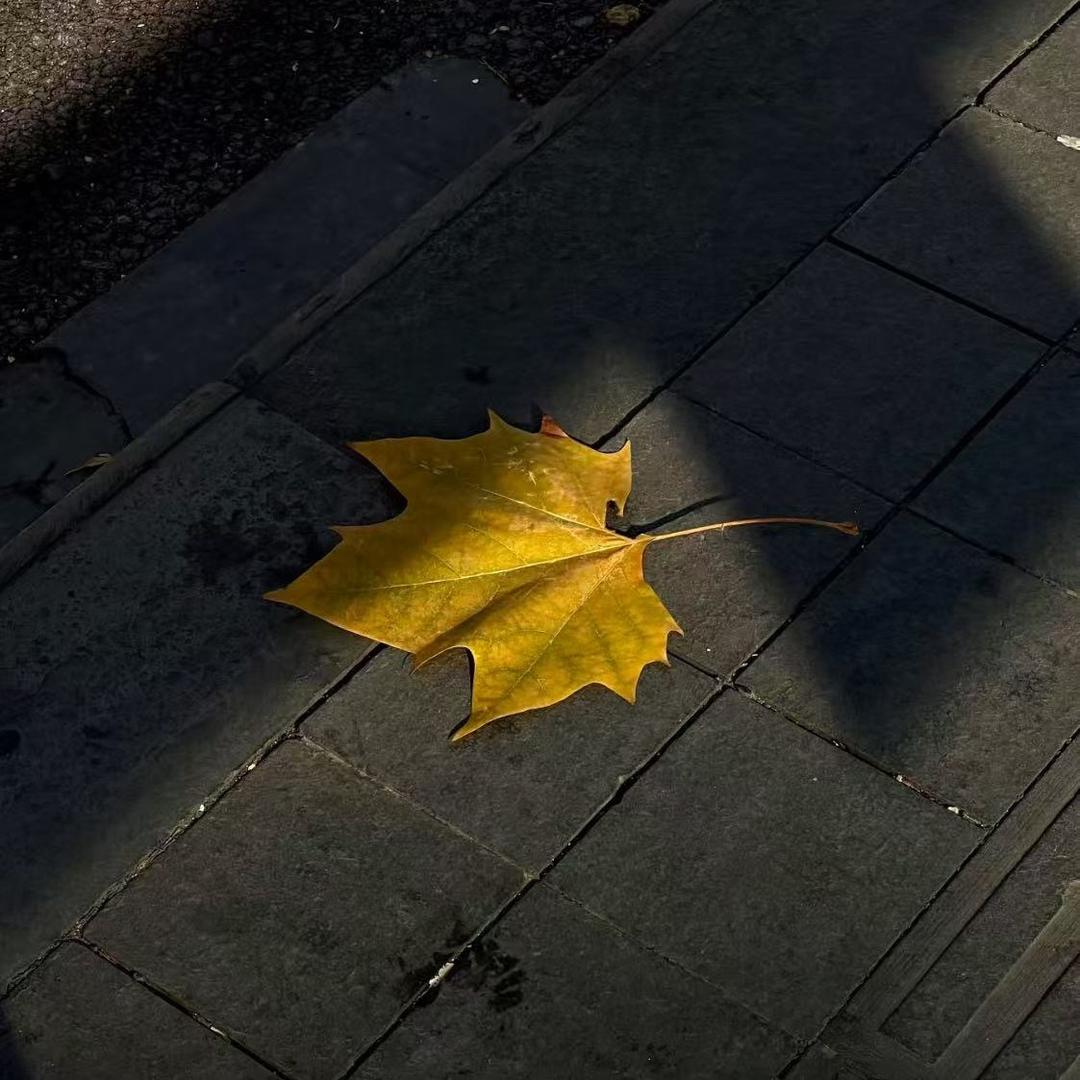 以安🍂