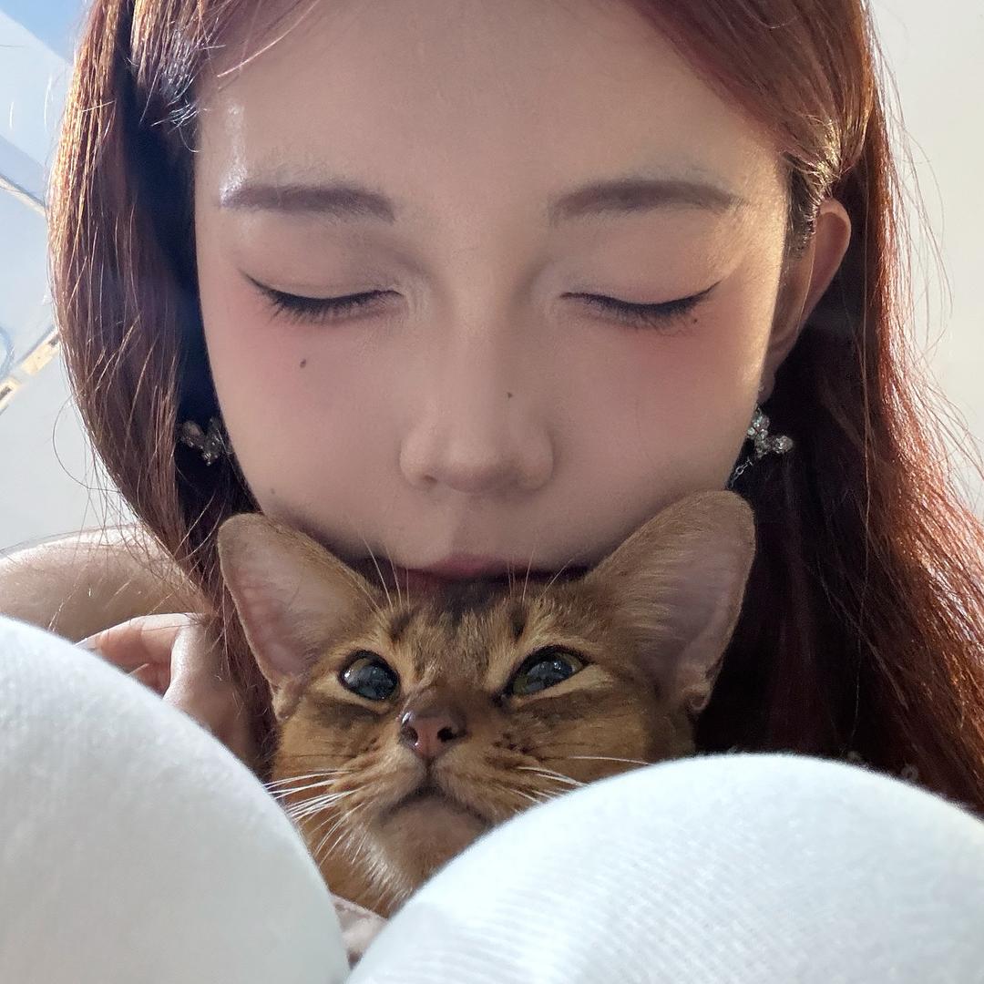 辣椒三三🌶️