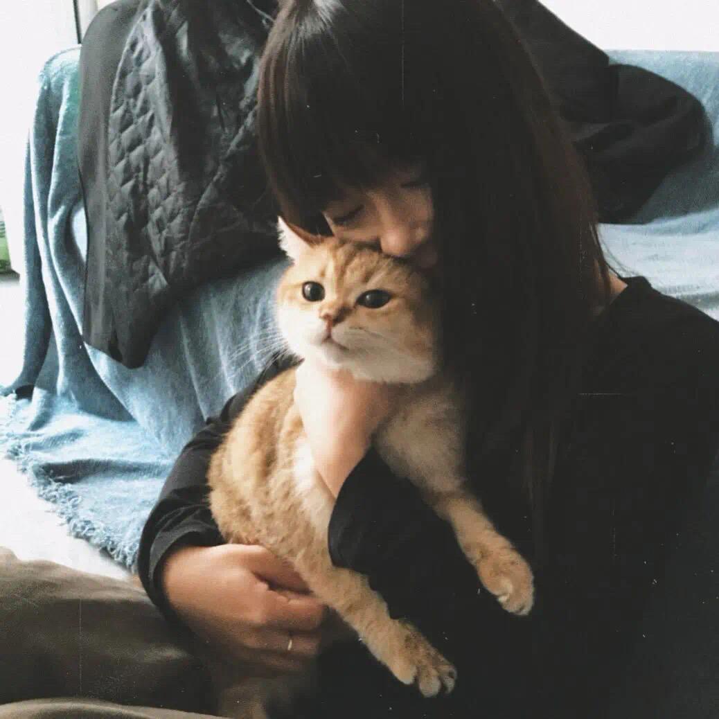 多多酱