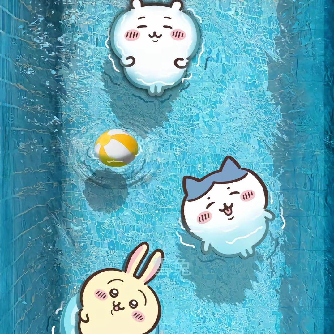 新贻