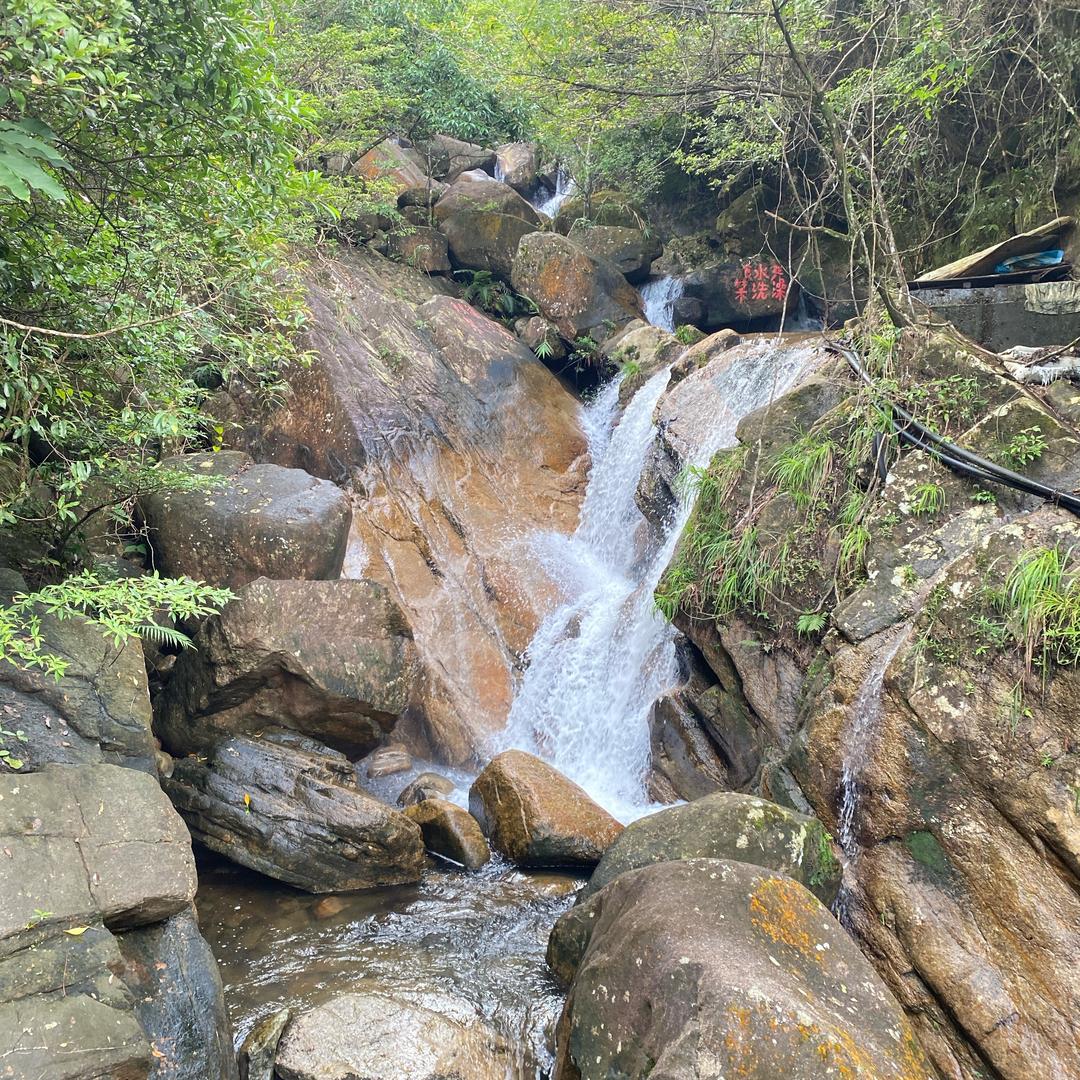 忘情雨