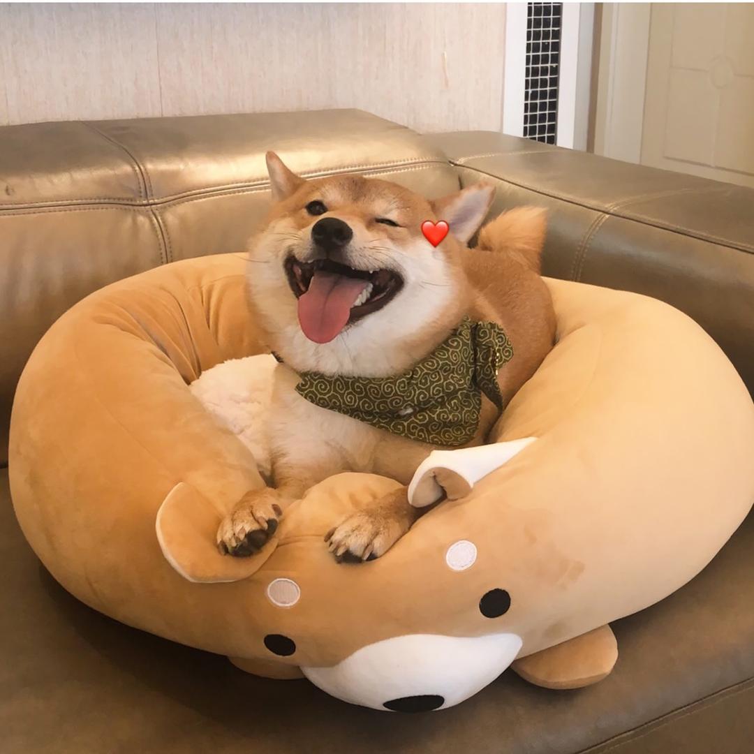 秦一只