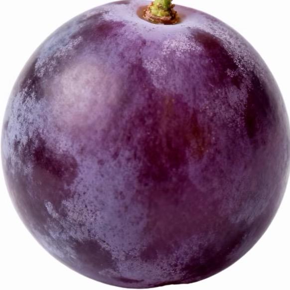 超南的北极人💜