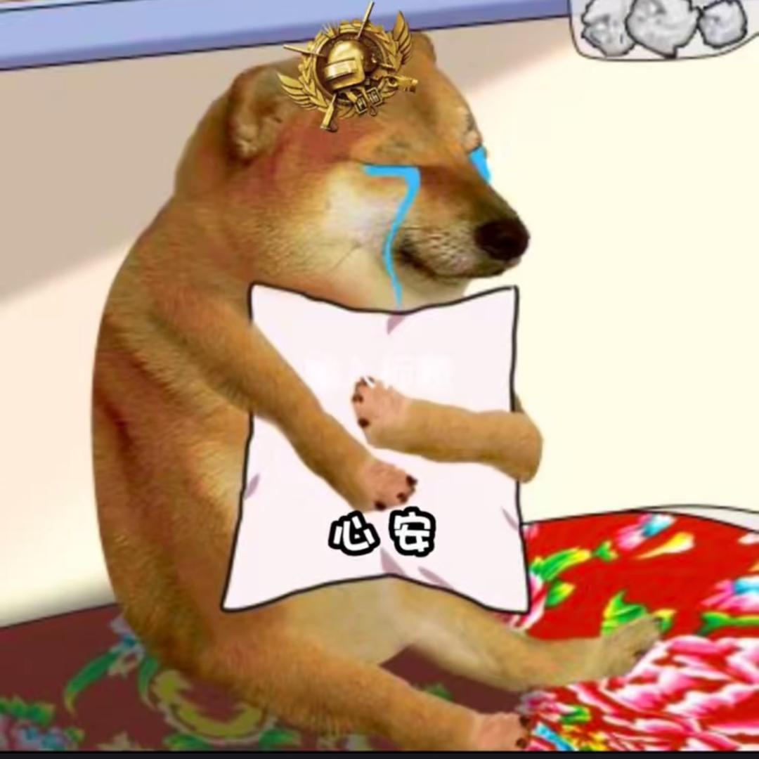 心安x