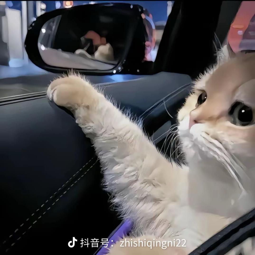 珍惜