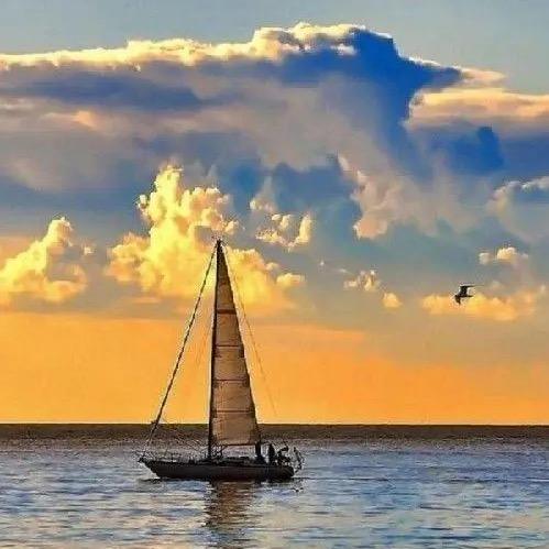 sail