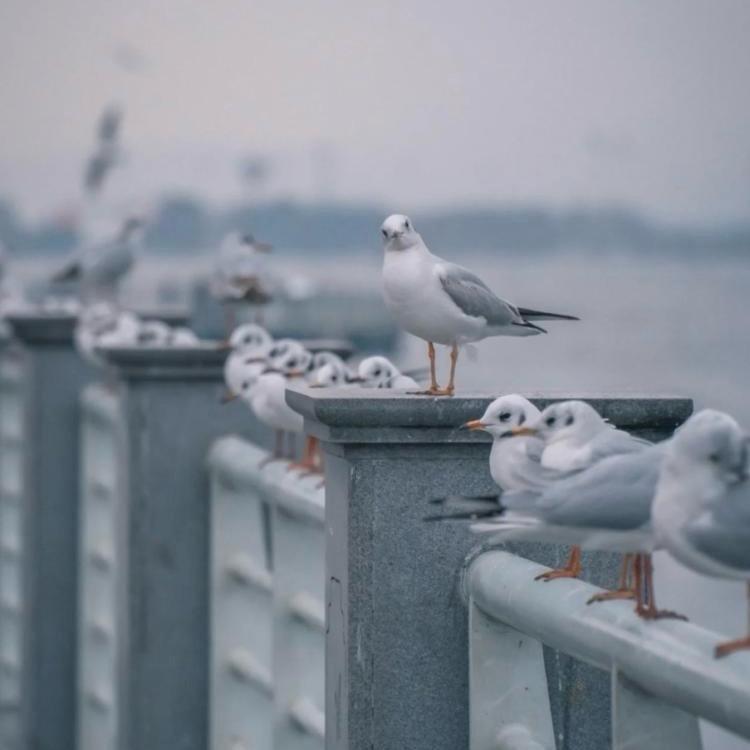 董沁