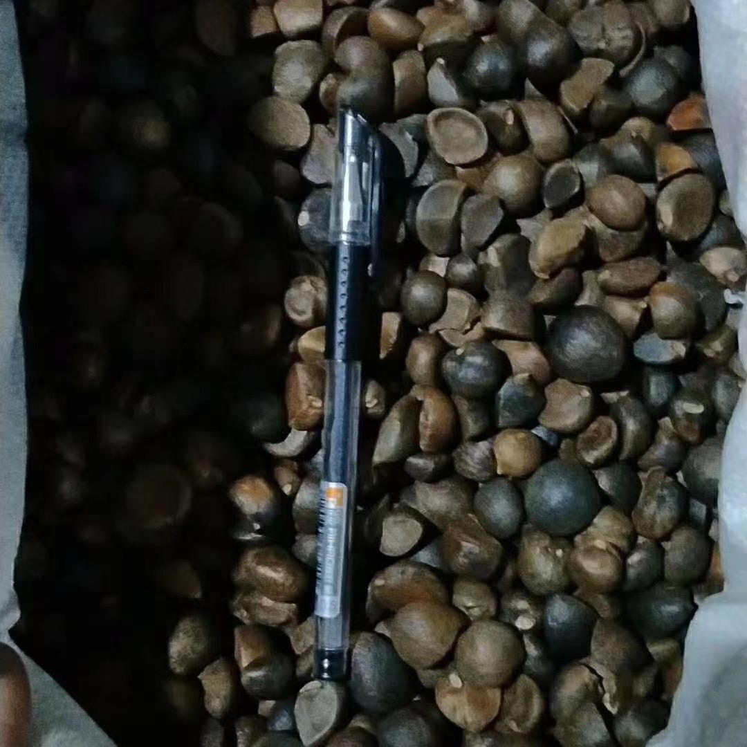 莲花茶油哥