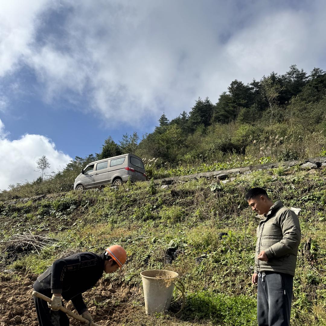 利川翠润优质农产市集