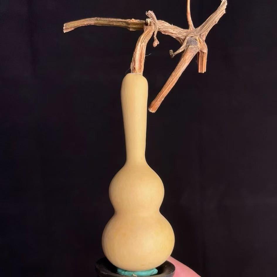 葫涂涂葫芦馆