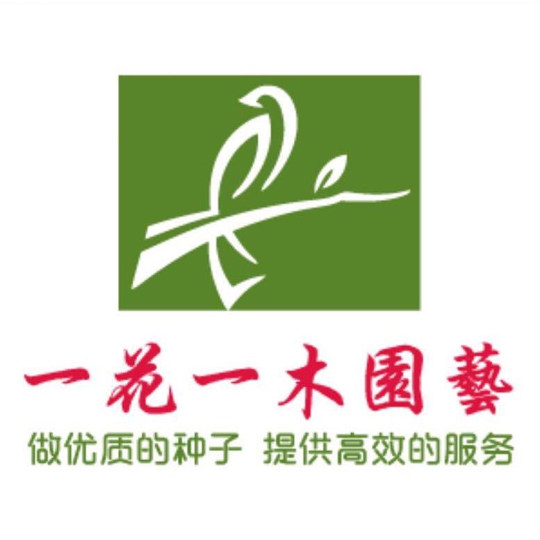 沭阳一花一木电子商务有限公司