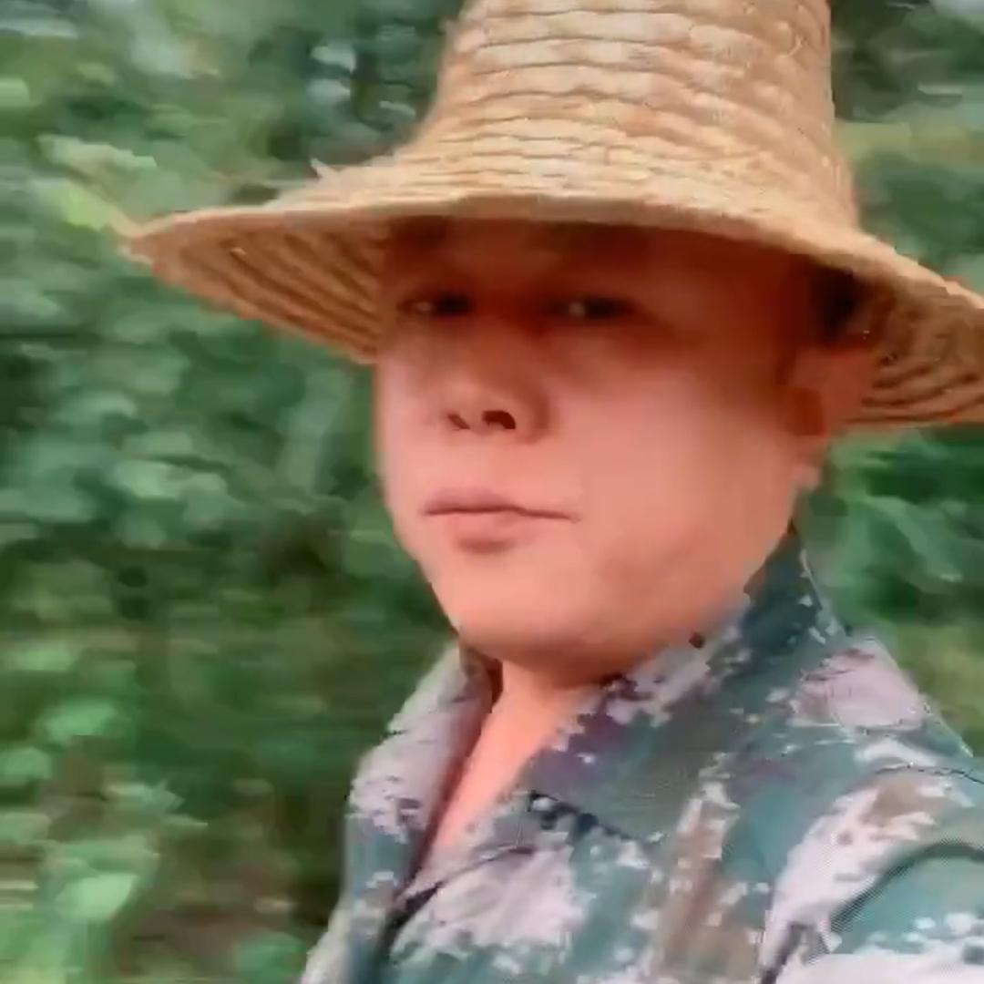 💕诗与💖远方💕