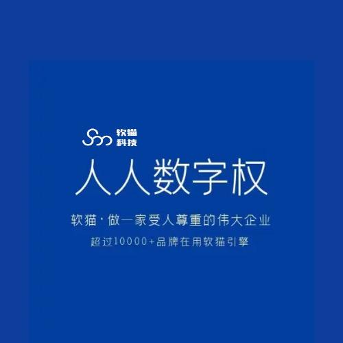 软猫·汉字编程软件开发