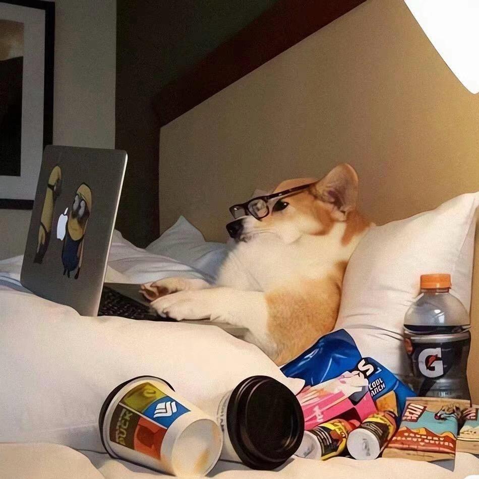 我有佩奇