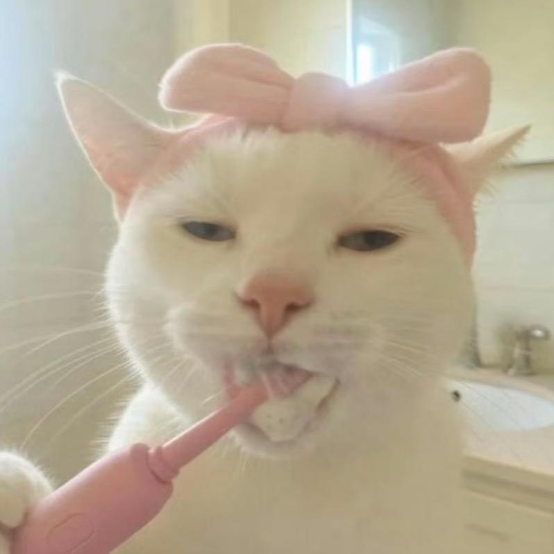 洋洋.