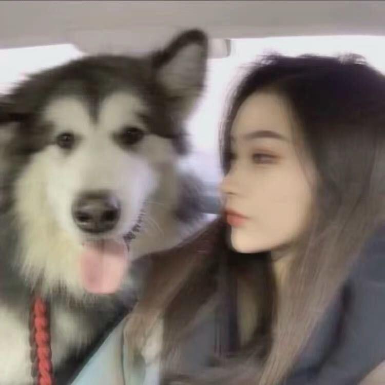 北北北北北