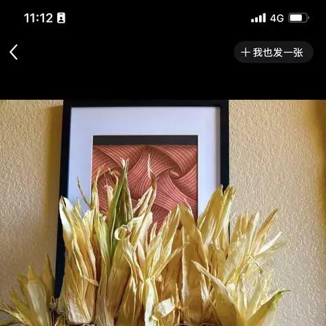 淼淼东北小玉米