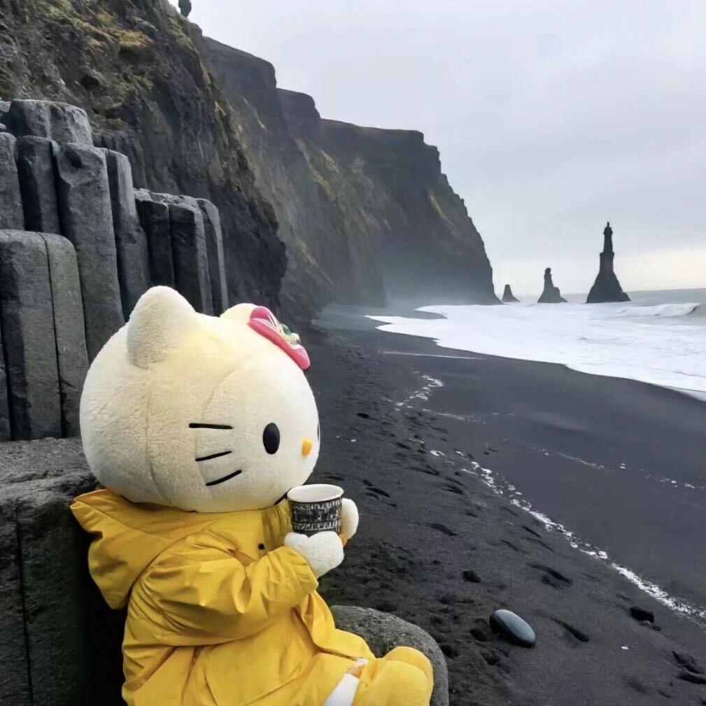 哈浩✨