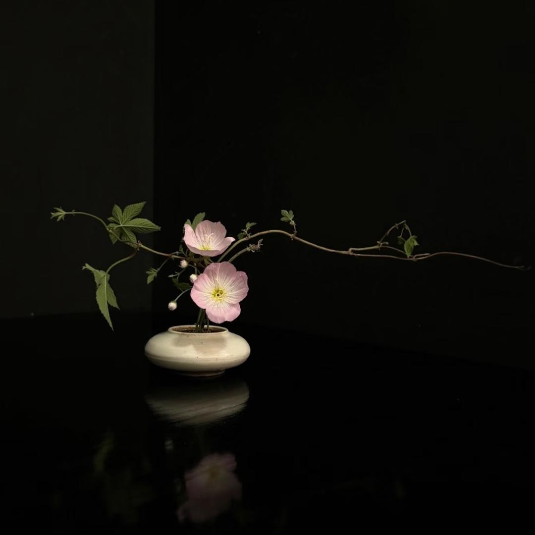 周丽荃