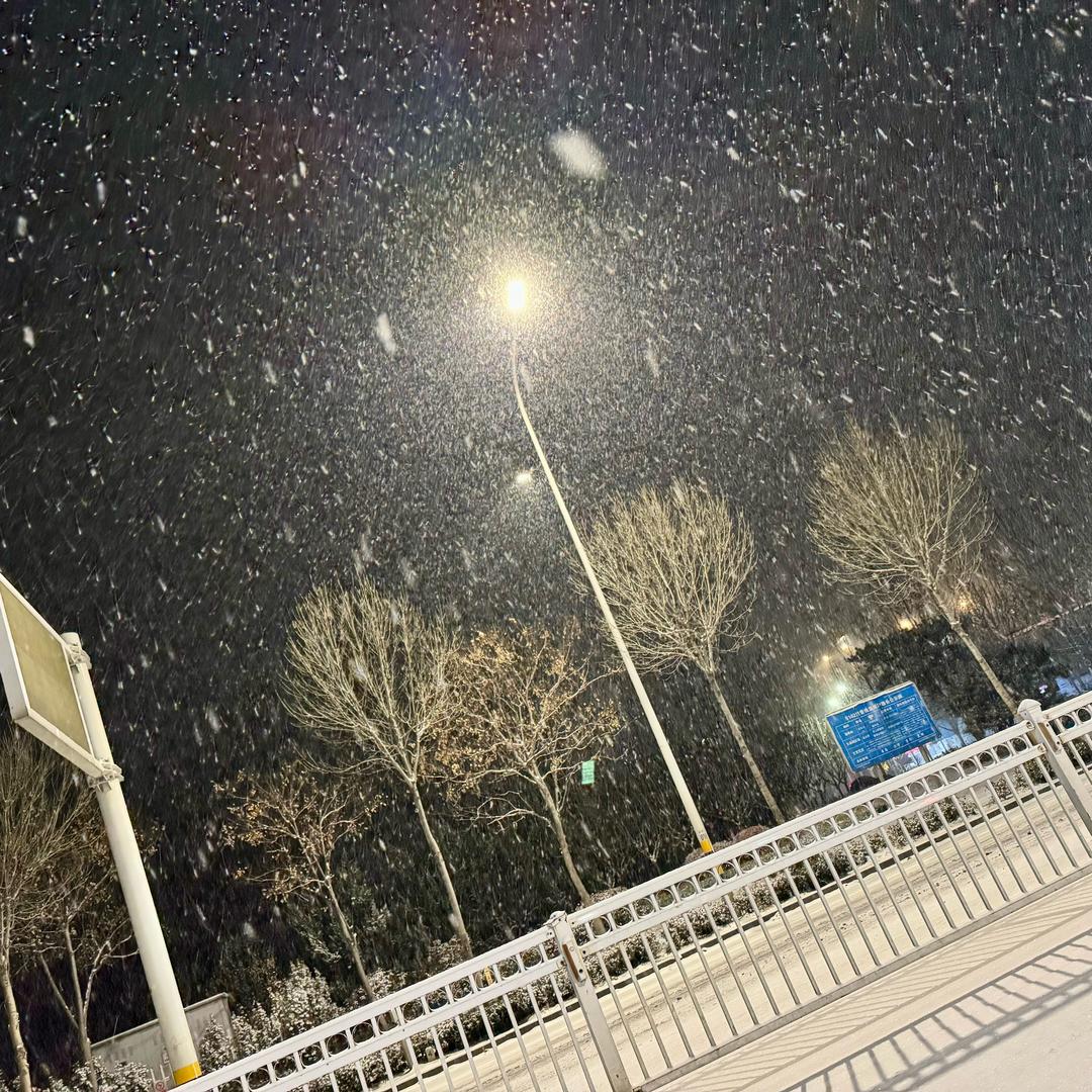 🌎