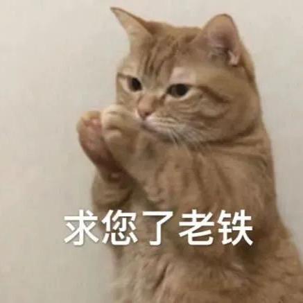 焦焦爱存表情包
