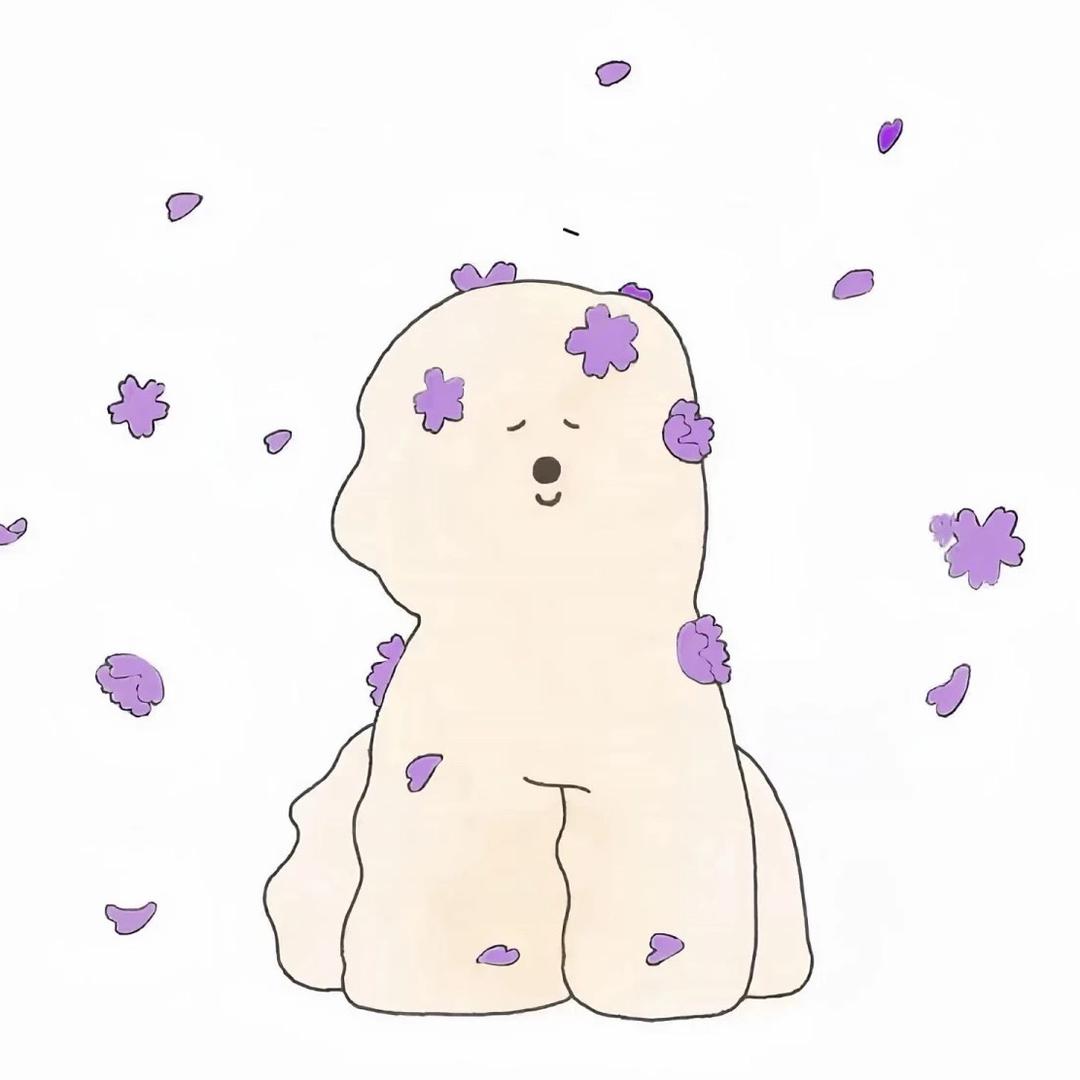 碎碎suisui