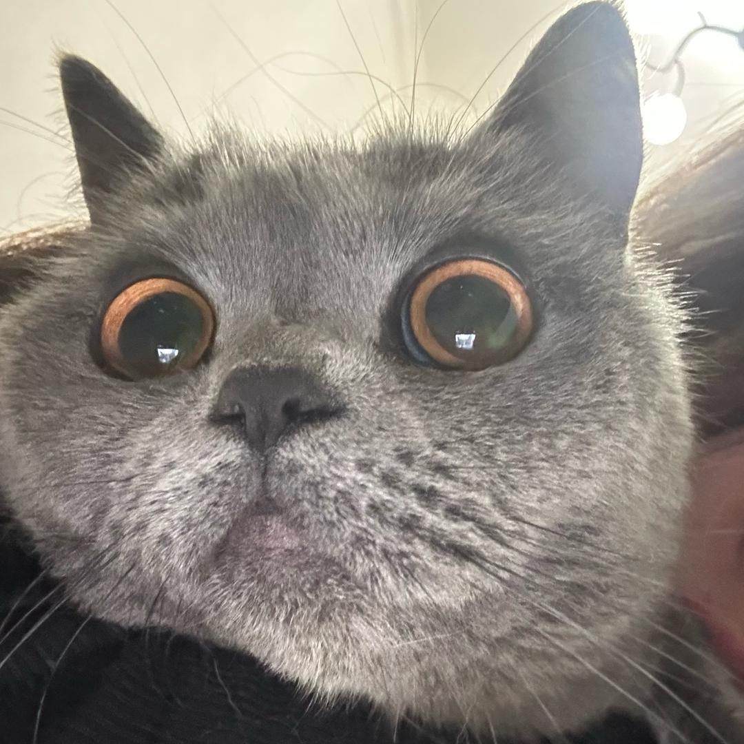 渣渣渣渣渣丶