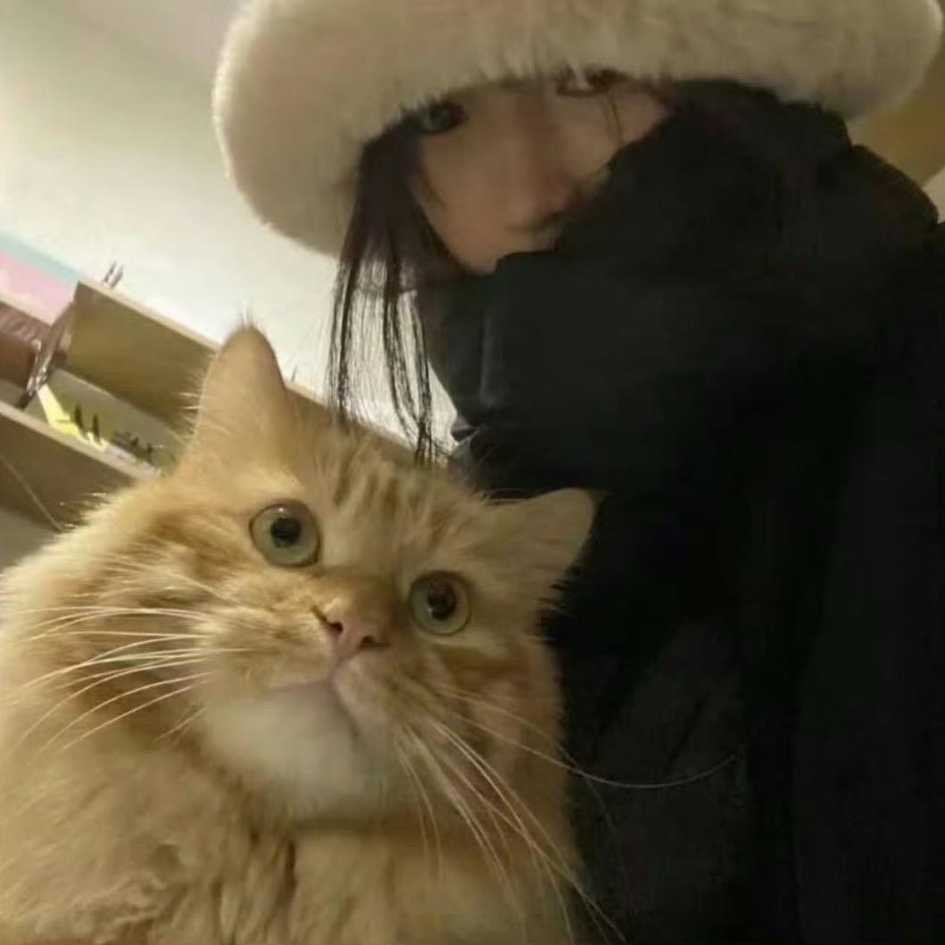 贝之