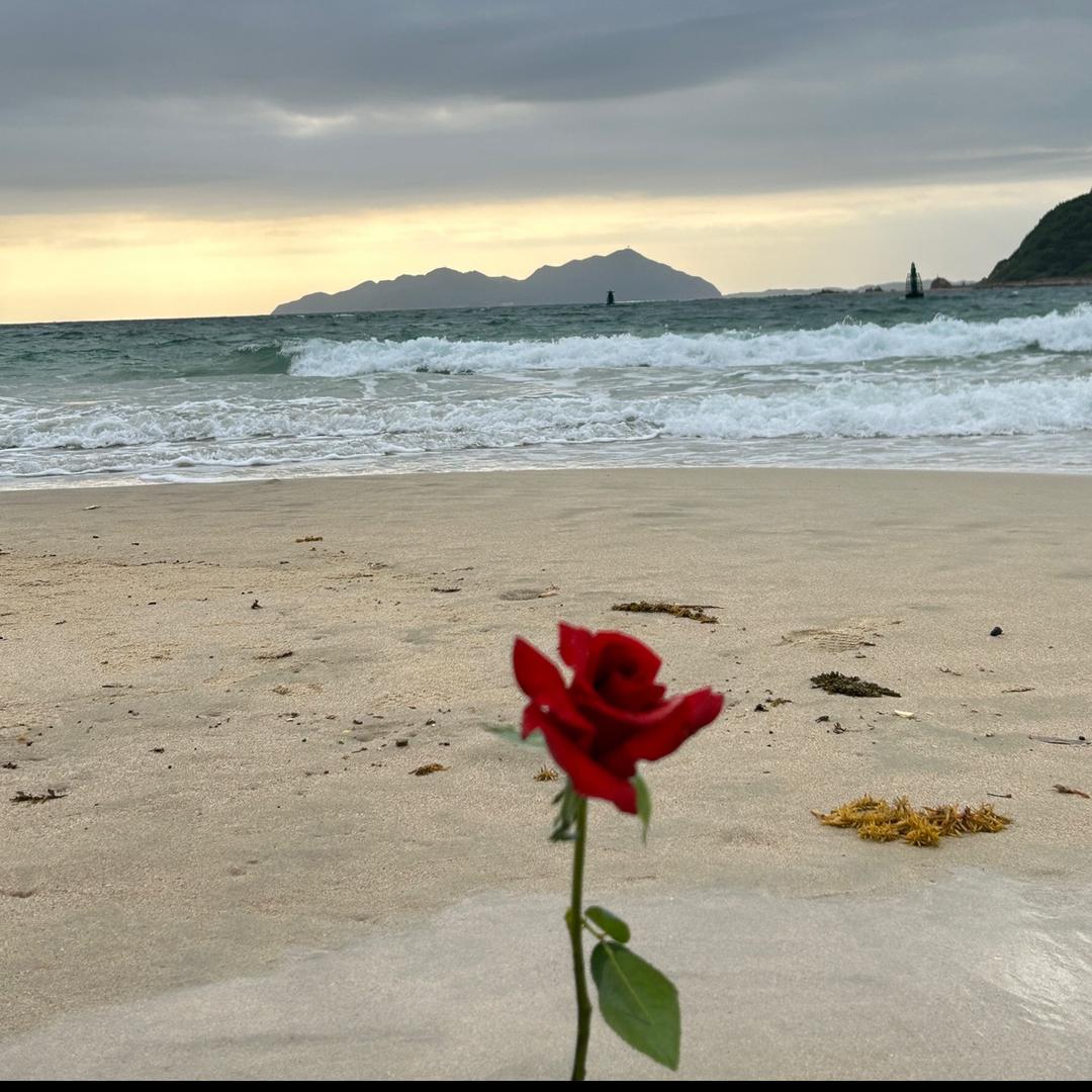 小意达💐