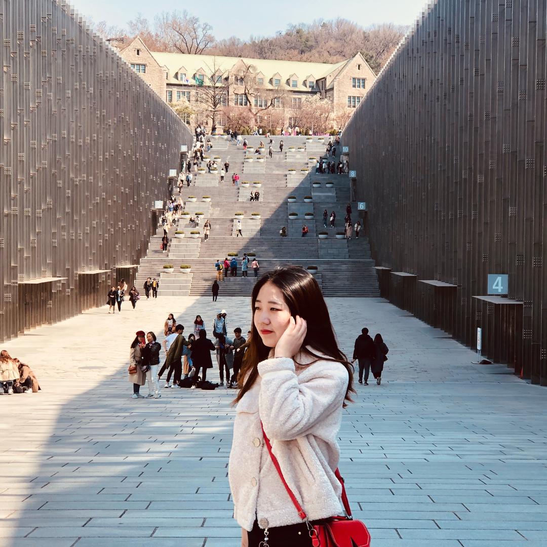 积水潭张曼玉🎬