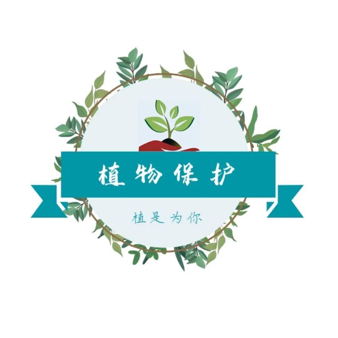 小军说农业