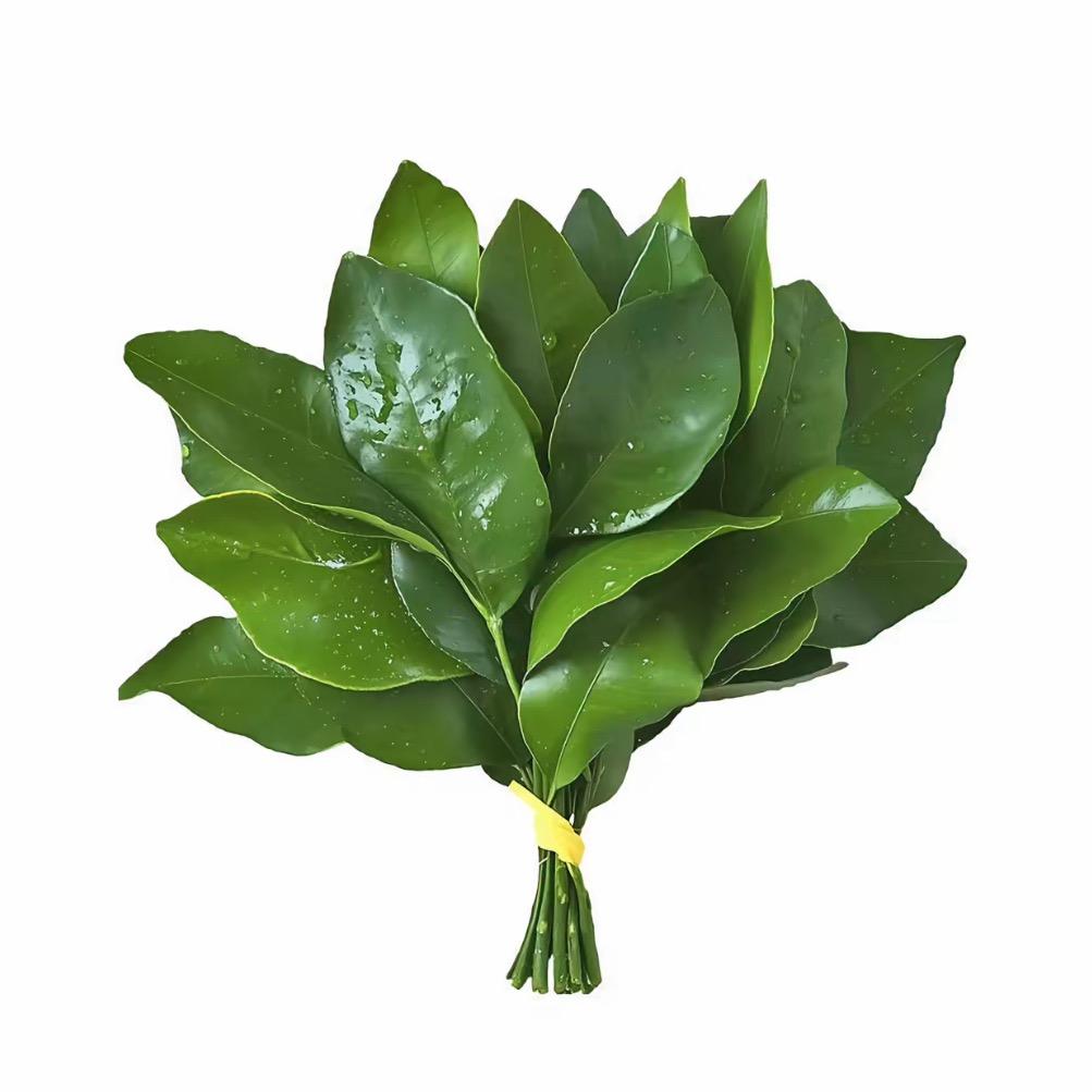腰缠万贯富得流油