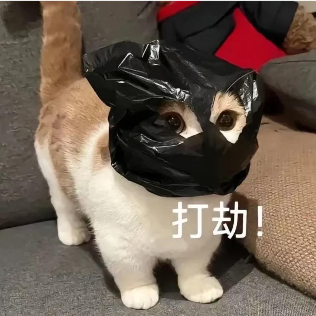 u子