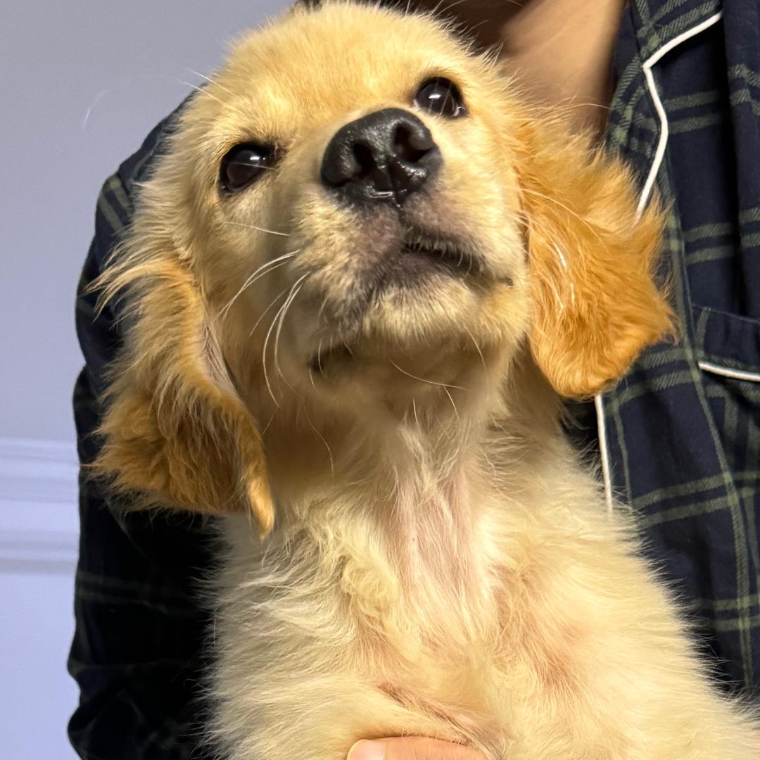 讨厌下雨天🌧️