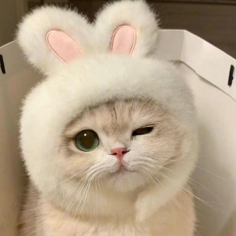 购物王