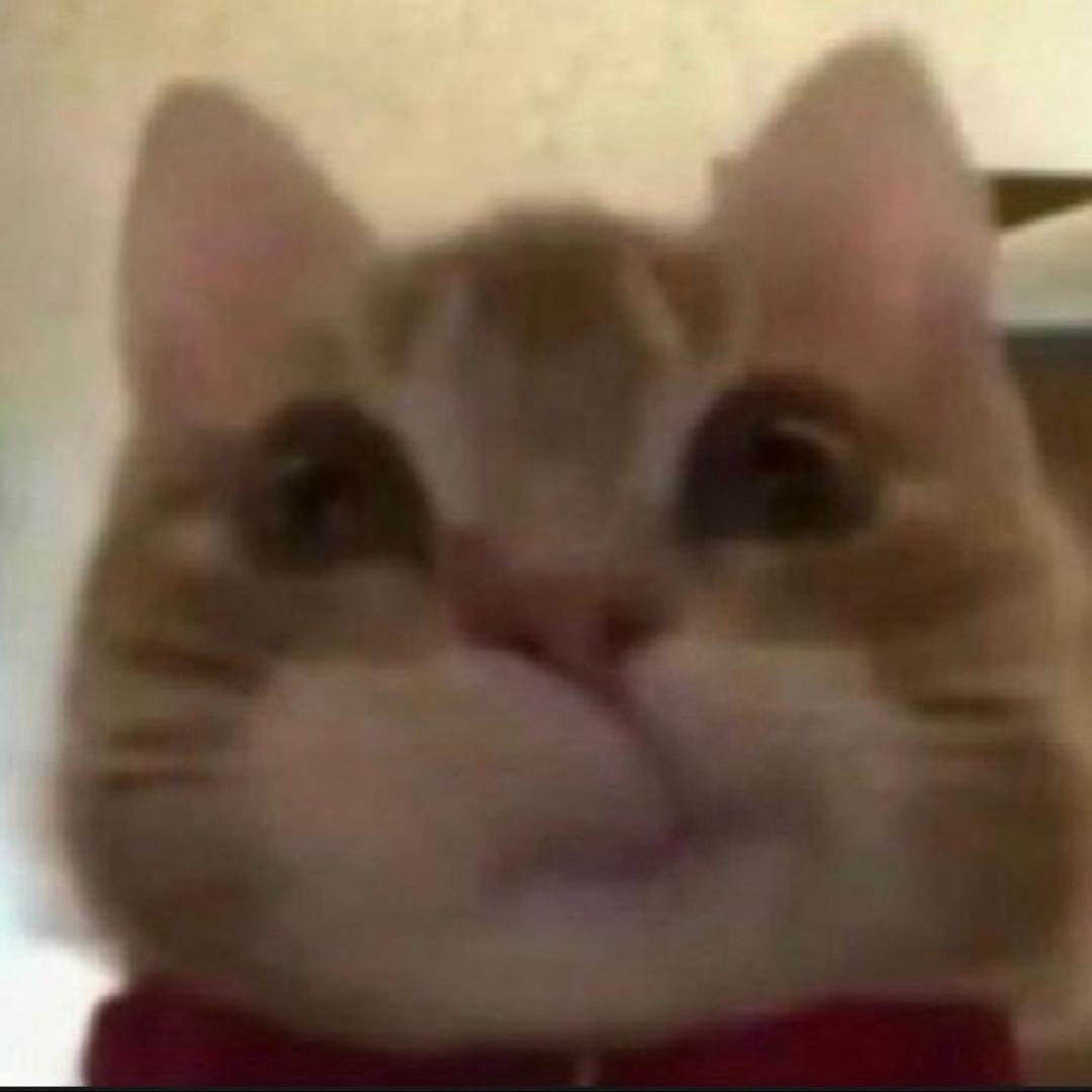 YG